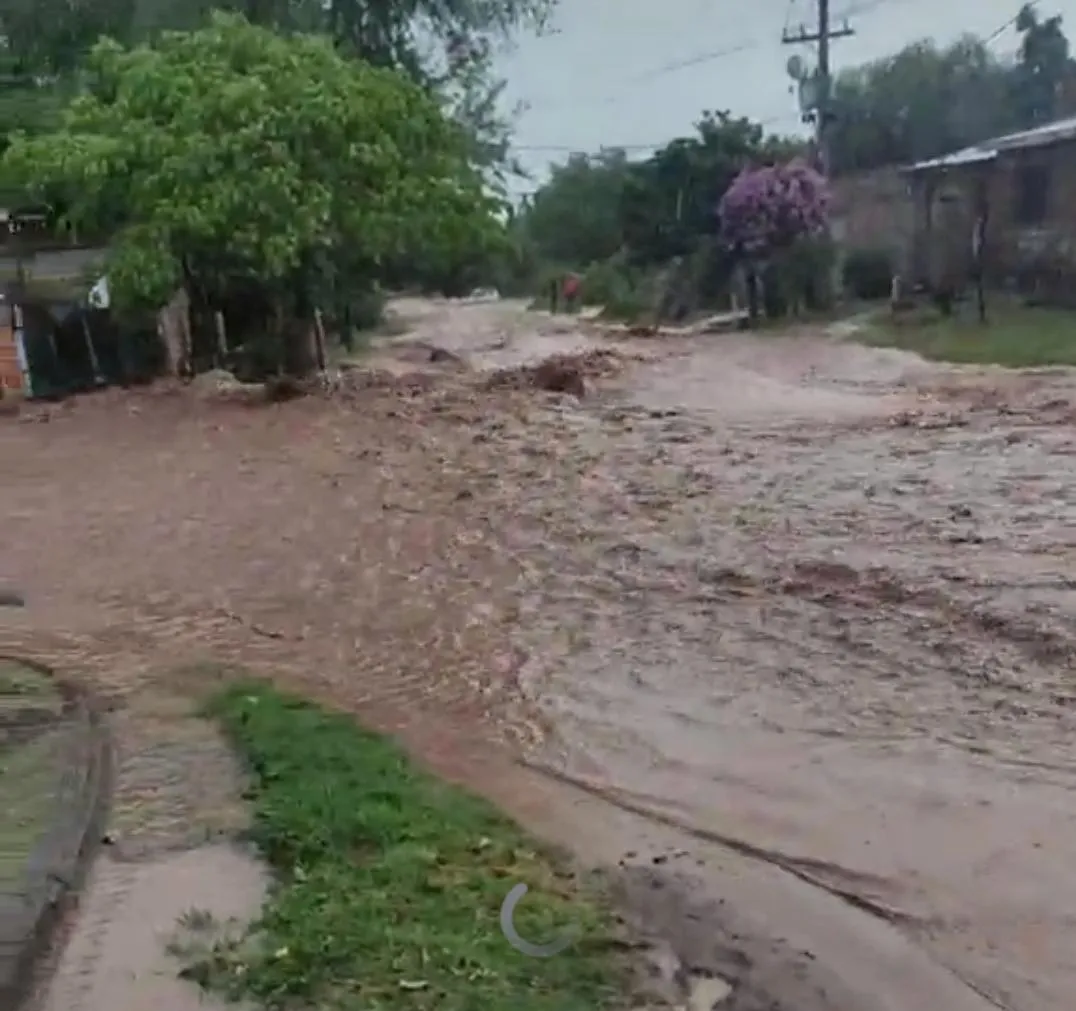 WhatsApp Image 2024-11-25 at 19.23.09