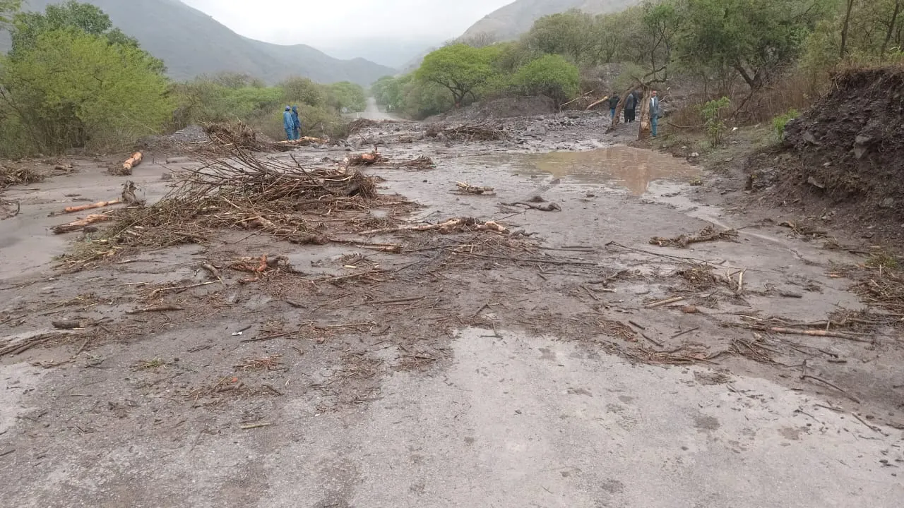 Corte ruta 33