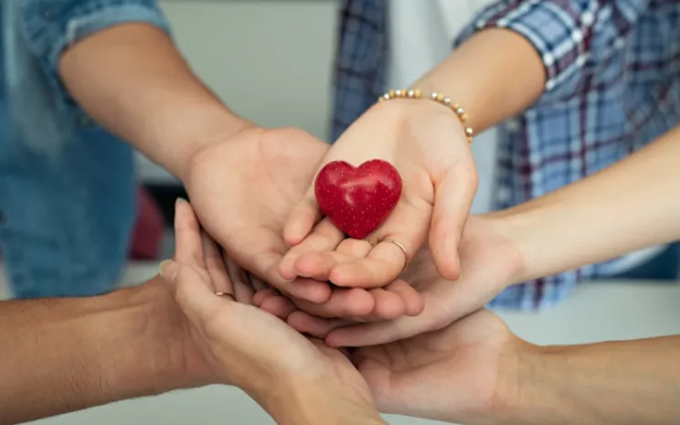 solidaridad png