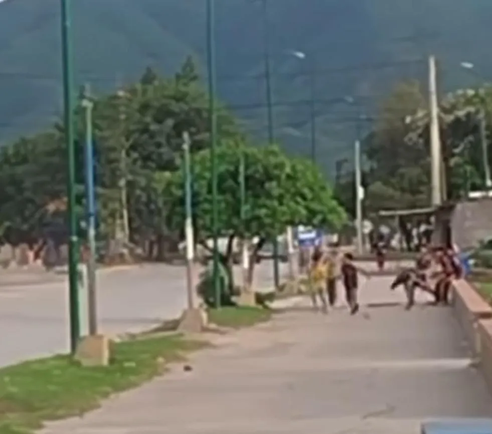 WhatsApp Image 2025-02-28 at 11.16.00