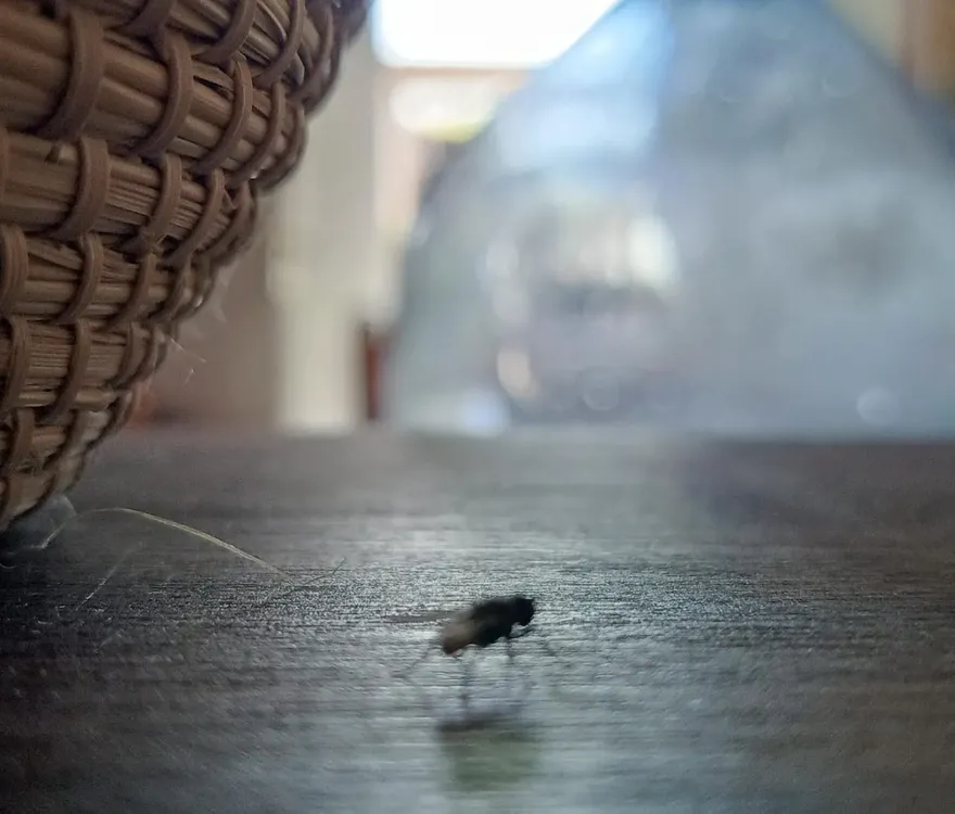 WhatsApp Image 2025-05-08 at 10.24.33 (1)