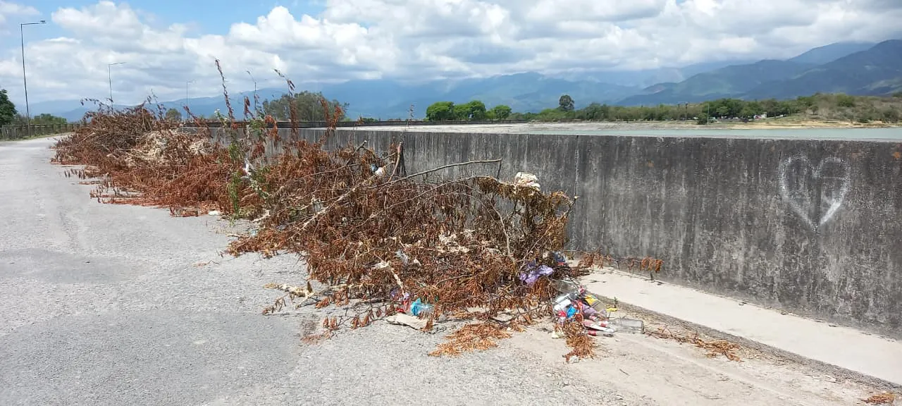 WhatsApp Image 2025-11-05 at 09.17.34