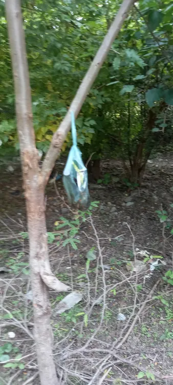 WhatsApp Image 2025-03-21 at 08.31.41 (2)