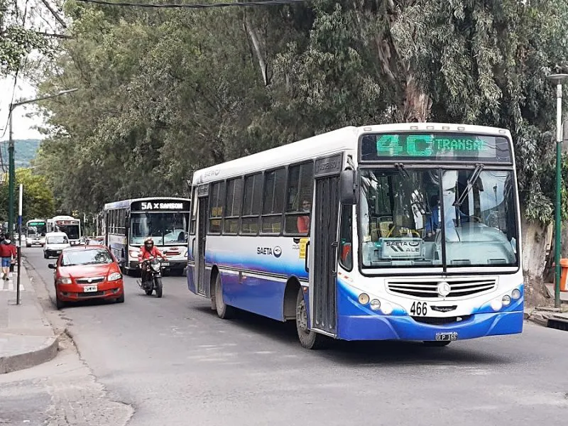 saeta 2