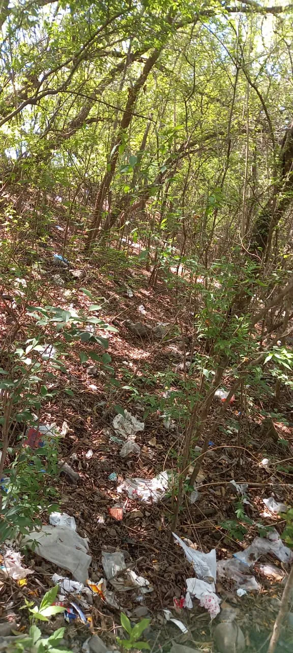 WhatsApp Image 2025-11-05 at 09.17.37