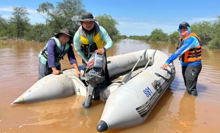 WhatsApp Image 2026-03-20 at 08.03.15