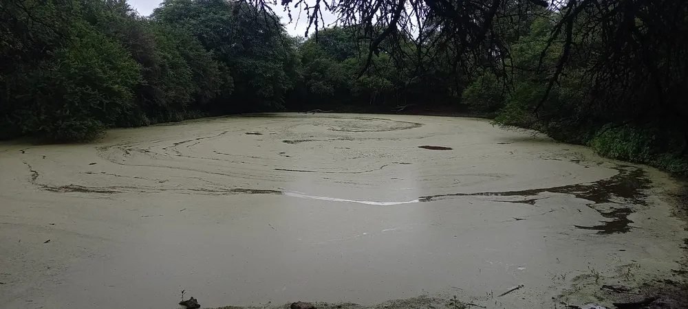 WhatsApp Image 2025-01-07 at 10.01.57 (1)