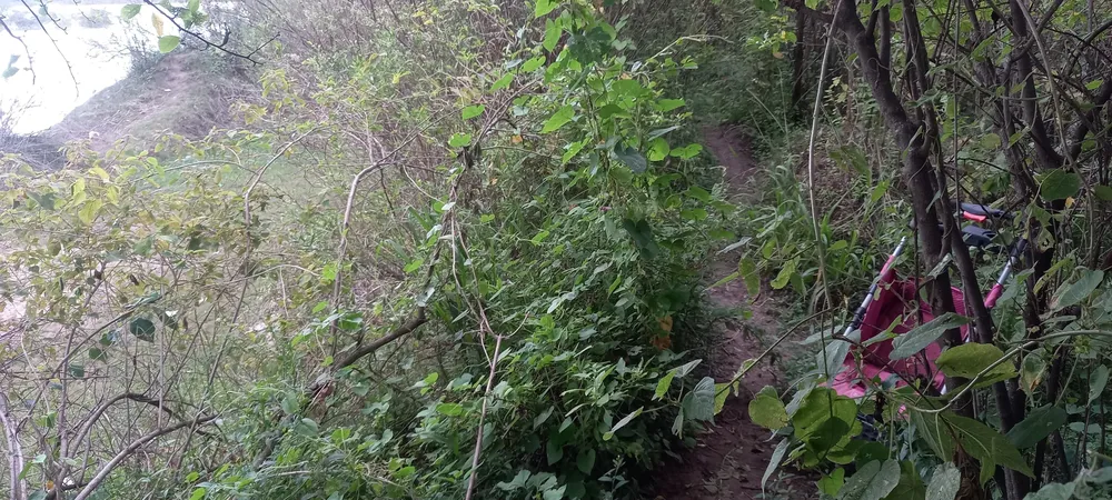 WhatsApp Image 2025-03-21 at 08.31.40 (1)