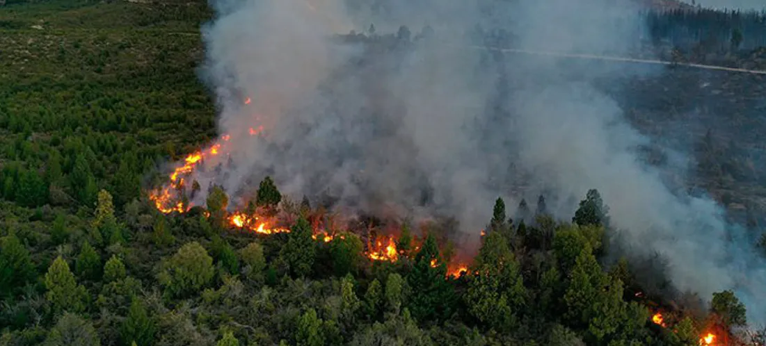 incendios patagonia