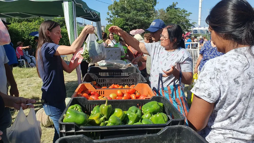 mercado en tu barrio