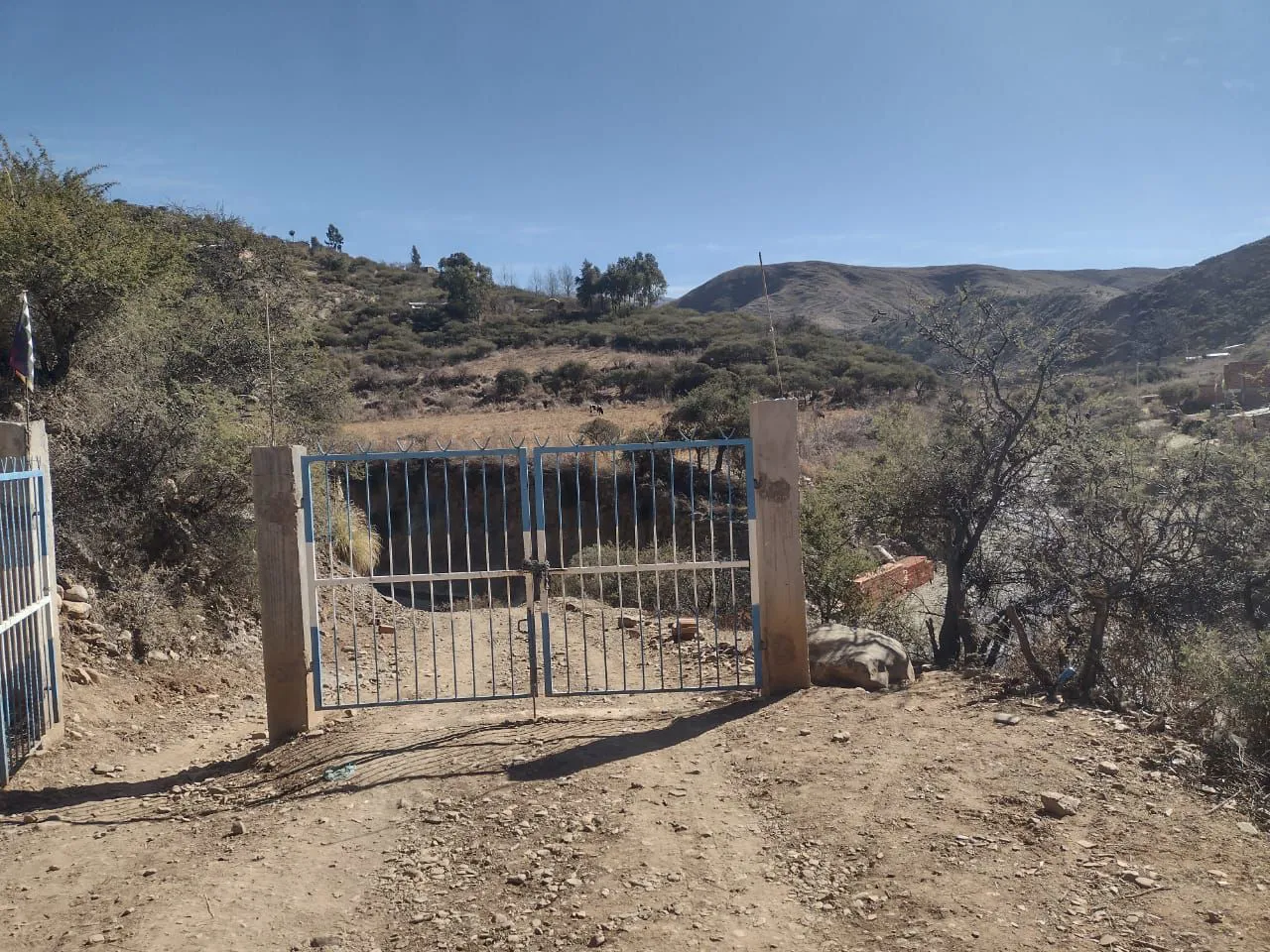 WhatsApp Image 2025-06-23 at 18.05.35