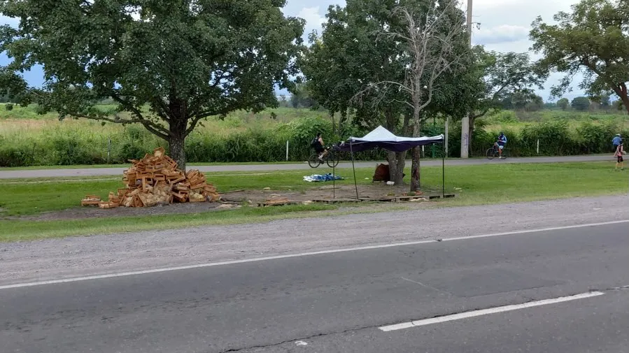 QUÉ OPINAS Yo banco fuerte al que labura y la rema@para salir adelante. También creo que debe ha