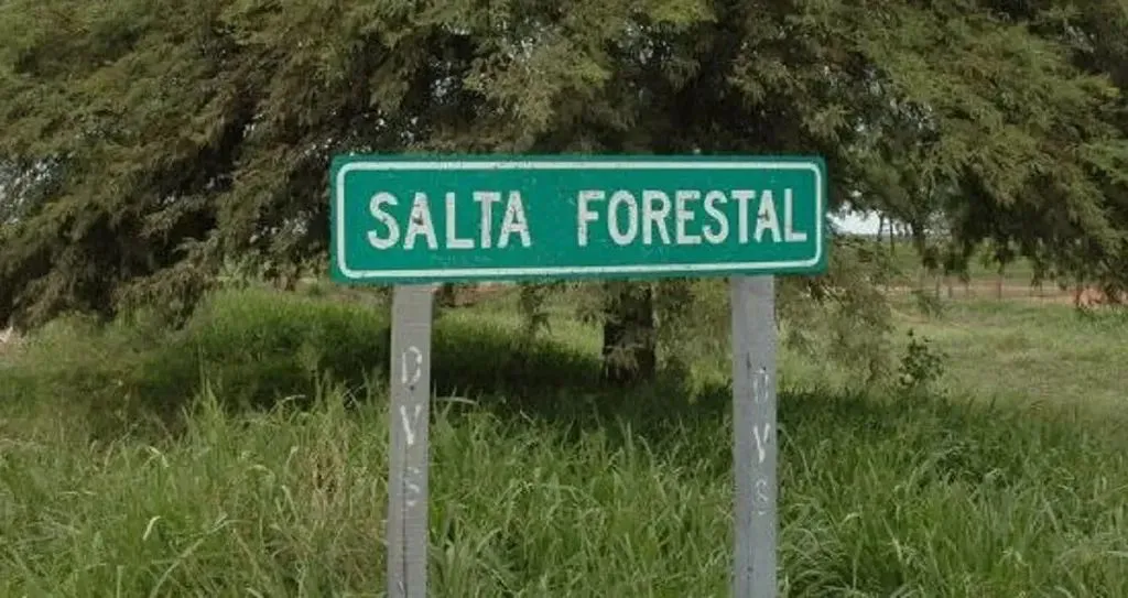 salta-forestal-1