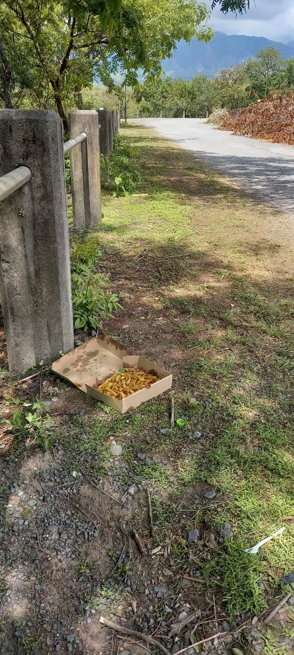 WhatsApp Image 2025-11-05 at 09.17.36 (1)