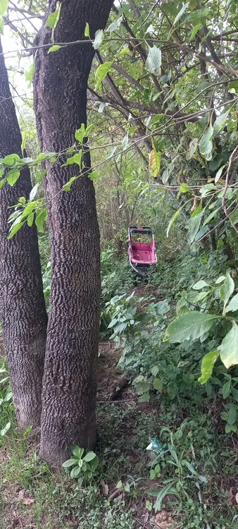 WhatsApp Image 2025-03-21 at 08.31.40 (2)