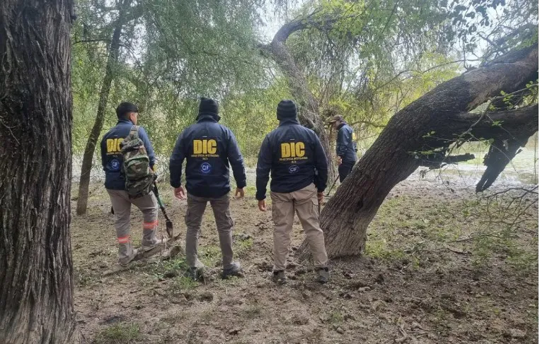 Búsqueda de Rosmery