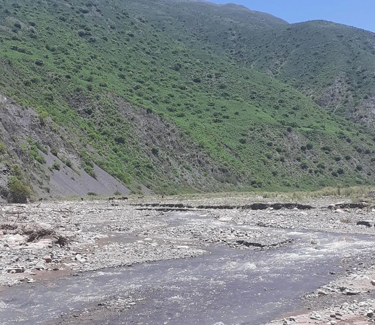Río Chicoana - altura paraje Agua negra.