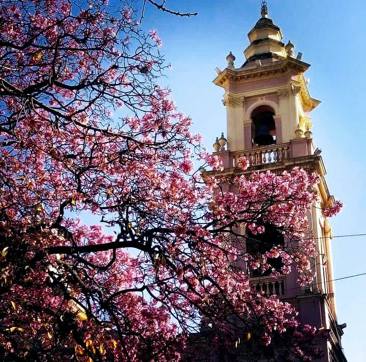 WhatsApp Image 2023-08-13 at 11.02.51