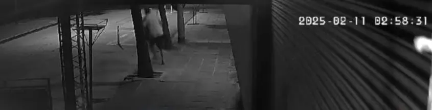 WhatsApp Image 2025-02-12 at 16.40.25