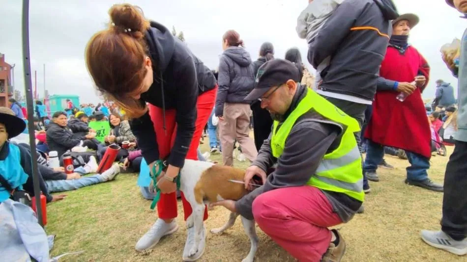 WhatsApp Image 2025-09-06 at 15.11.43